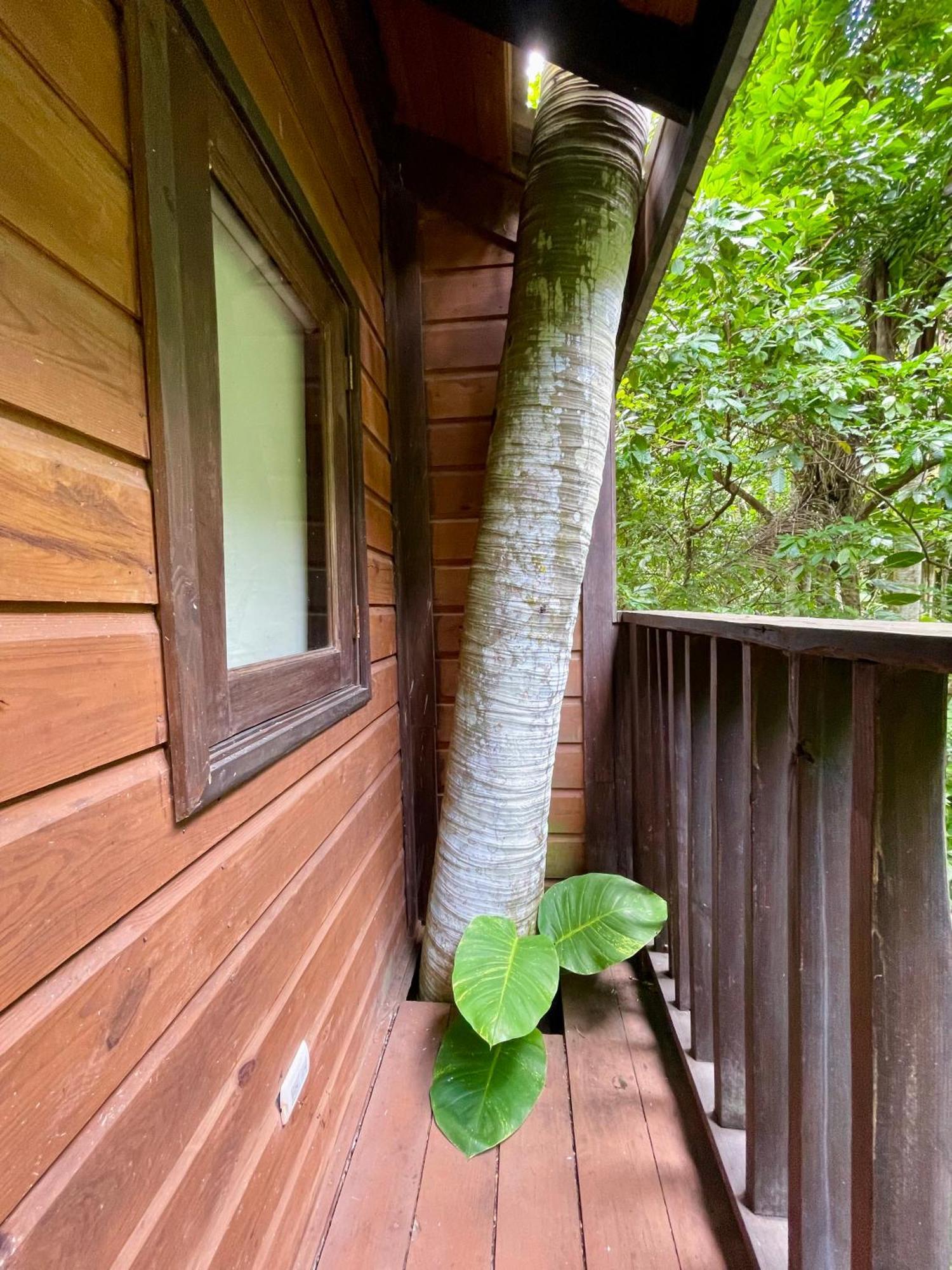 Platon Ecolodge Barahona Εξωτερικό φωτογραφία